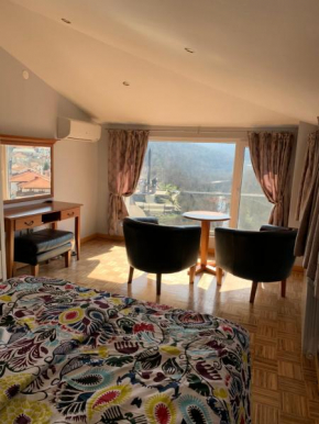 Romantic view Asenevtsi